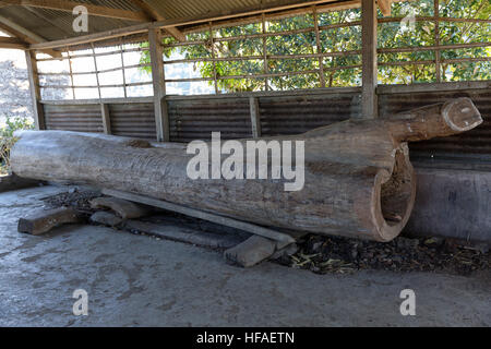 Trommeln auf dem Display in einem schlafenden Haus, Lapnan Dorf, Tirap Bezirk, Arunachal Pradesh, Indien Stockfoto