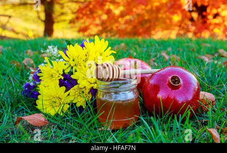 Rosch ha-Schana Jewesh Ferienkonzept - Honig, Apfel und Granatapfel traditionelle Symbole. Stockfoto