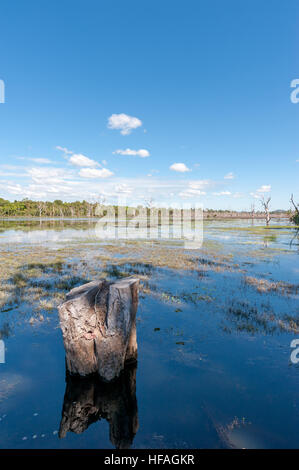 Großen See Baray in Angkor Stockfoto