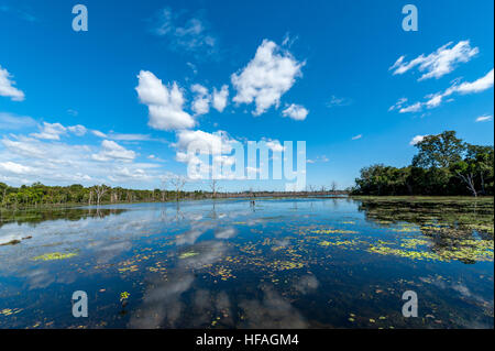 Großen See Baray in Angkor Stockfoto