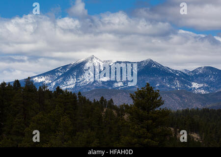 Die schneebedeckten San Francisco Peaks Flagstaff überragt. Coconino National Forest, Arizona Stockfoto