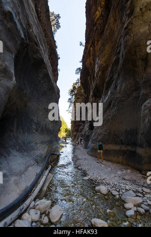 Samaria-Schlucht. Das Bett von einem Bergfluss. Kreta. Griechenland. Stockfoto