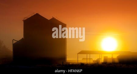 Alte Farm Silos und Traktor bei Sonnenaufgang Stockfoto