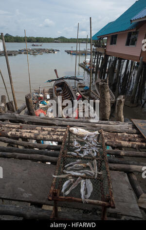 Fisch im Netz in Thailand Koh Panyee Dorf trocknen Stockfoto