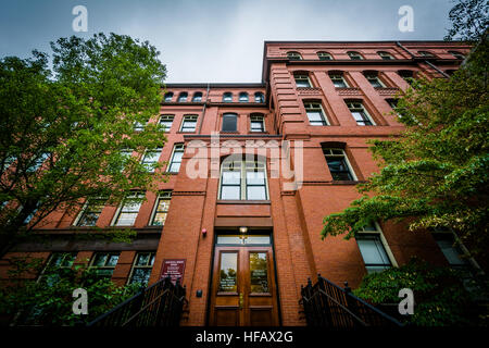 Das Museum für vergleichende Zoologie der Harvard University in Cambridge, Massachusetts. Stockfoto