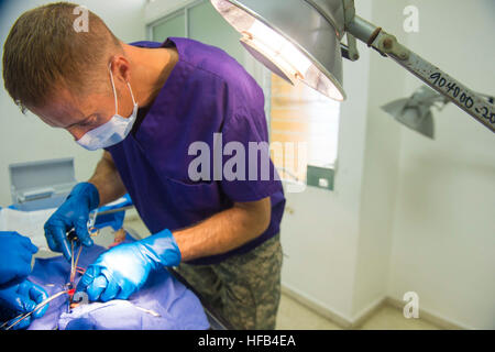 150820-N-YM856-087 SANTO DOMINGO, Dominikanische Republik (20. August 2015) Armee Generalmajor Jeremiah Nelson, ein Tierarzt, 85. Civil Affairs Brigade zugewiesen Fort Hood, Texas, führt Operationen auf einen Hund an einem tierärztlichen Standort am Hospital Clinic Veterinario während anhaltende Versprechen 2015 gegründet. Weiterhin verspricht ein US Southern Command gesponsert und US Marine Kräfte südlichen Spezialoperationen. 4. Flotte durchgeführt Bereitstellung, zivil-militärische Operationen einschließlich zivile und humanitäre Hilfe, Gegenstand von Experten Austausch, Medizin, dental, Veterinär und engineering unterstützen und Desaster r Stockfoto