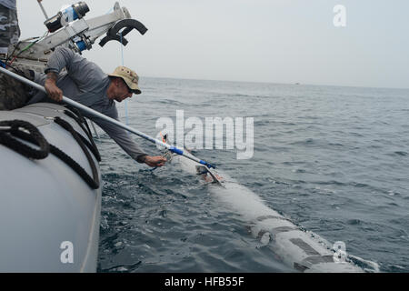 130318-N-RE144-0105 5. Flotte Zuständigkeitsbereich auf See (March18, 2013) ein Team von Unterwasser-Fahrzeug (UUV) Operatoren, befestigt an Commander Task Group (CTG) 56.1, unbemannte senken ein UUV in das Wasser für eine Unterwasser-Umfrage. CTG 56,1 bietet Grube Gegenmaßnahme, explosive Ordnance Entsorgung, Bergung Tauchen und Schutz für die USA zwingen 5. Flotte. (Foto: U.S. Navy Mass Communication Specialist 2. Klasse Jamar Perry/freigegeben) CTG 56,1 führt UUV Operationen 130318-N-RE144-105 Stockfoto