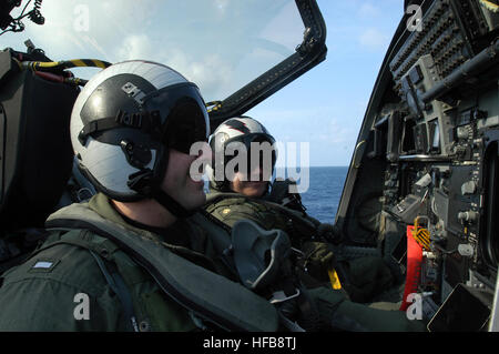 050326-N-8163B-002-Atlantik (26. März 2005) - Aircrew zugewiesen "Schattenfalken" von Electronic Attack Squadron One vier One (VFA-141), vor dem Flug Überprüfungen durchführen im hinteren Cockpit ihre EA-6 b Prowler vor dem Start aus dem Flugdeck der USS Theodore Roosevelt (CVN-71). Die Schattenfalken sind an Bord Theodore Roosevelt im Rahmen des Carrier Air Wing acht (CVW-8) begonnen. Roosevelt wird derzeit für maßgeschneiderte Schiff Training Verfügbarkeit und abschließende Bewertung Problem (TSTA/FEP) im Atlantischen Ozean. Foto: U.S. Navy des Fotografen Mate Flieger Eben Boothby (freigegeben) EA-6 b Bug Stockfoto