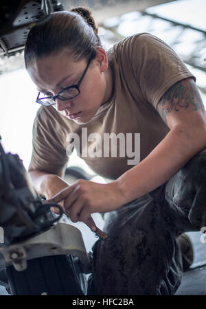 Luftfahrt strukturelle Mechaniker 3. Klasse Robin Sanabria, zugewiesen, Hubschrauber Meer bekämpfen Squadron (HSC) 26, einem det führt Wartungsarbeiten an einem MH-60 Seahawk-Hubschrauber. HSC-26 det ONE ist ein nach vorn eingesetzt Seemacht gut befestigt, Commander, Task Force 53, Bekämpfung Logistik und Such- und Bergungskosten Fähigkeit überall in den USA bieten 5. Flotte Aufgabengebiet. (Foto: U.S. Navy Mass Communication Specialist 1. Klasse Daniel Gay/freigegeben) Helo Wartung 130530-N-PX130-012 Stockfoto