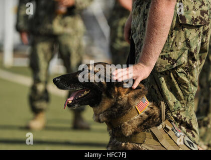 131119-N-LE393-008 CAMP LEMONIER, Dschibuti (19. November 2013) Adela, ein Deutscher Schäferhund militärischer Arbeitshund, wird von ihr Handler US Navy Waffenwart beruhigt 2. Klasse Ryan Ezell während des Trainings. Die Hunde genießen das Training und es hält sie bereit, die Verdächtigen zu unterwerfen, wenn nötig. (Foto: U.S. Navy Mass Communication Specialist 1. Klasse Eric Dietrich/freigegeben) K9 training 131119-N-LE393-008 Stockfoto