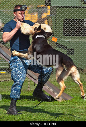 Jimmy, kontrolliert eine Militärpolizei arbeiten Hund, Angriffe US Navy Waffenwart 2. Klasse William Bryan während Aggression Training auf gemeinsamer Basis Pearl Harbor-Hickam, Hawaii, 10. April 2013. Militärische Arbeitshunde werden verwendet, um Verdächtige festzunehmen und Sprengstoffen und Drogen zu erkennen. (Foto: U.S. Navy Mass Communication Specialist 3. Klasse Diana Quinlan/freigegeben) Militärischer Arbeitshund Übungen 130410-N-WF272-078 Stockfoto