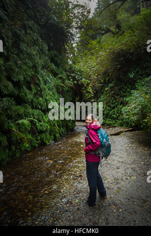 Farn Canyon Prairie Creek Redwoods State Park Humboldt County Kalifornien Stockfoto