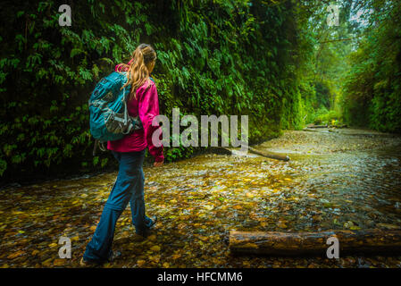 Farn Canyon Prairie Creek Redwoods State Park Humboldt County Kalifornien Stockfoto