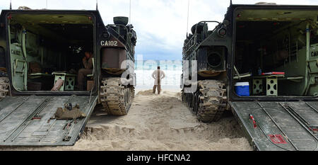 Marine Amphibienfahrzeuge Assault Combat Assault Unternehmen zugeordnet, 3. Marine Regiment, vom Strand, amphibische Dock Landungsschiff USS Rushmore (LSD 47) zu starten während der Rand des Pazifik (RIMPAC) Übung 2014 vorbereiten. Zweiundzwanzig Nationen, mehr als 40 Schiffe und u-Boote, etwa 200 Flugzeuge und 25.000 Personal sind RIMPAC vom 26. Juni bis Aug. 1, in und um die Inseln von Hawaii und Southern California beteiligt. Der weltweit größte internationale maritime Übung RIMPAC bietet eine einzigartige Trainingsmöglichkeit, die hilft den Teilnehmern zu fördern und unterstützen den kooperativen relatio Stockfoto