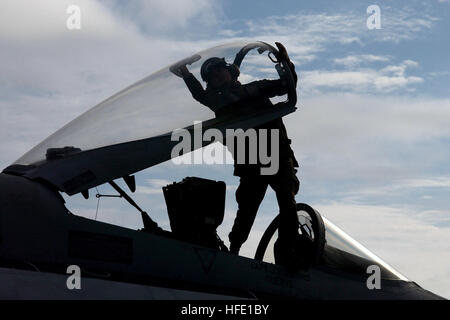 040627-N-4757S-005-Mittelmeer (27. Juni 2004) - ein Flugzeug-Kapitän reinigt die Haube auf einer F/A - 18 C Hornet an Bord der USS Harry S. Truman (CVN-75). Truman ist einer der sieben Flugzeugträger in der Sommer-Puls-2004 beteiligt. Sommer Pulse 2004 ist die gleichzeitige Bereitstellung von sieben Flugzeugträger Streik Gruppen (strategischen), Nachweis der Fähigkeit der Marine zu glaubwürdigen Kampfkraft rund um den Globus in fünf Theatern mit anderen USA verbündet, und Koalitionsstreitkräfte zur Verfügung zu stellen. Sommer-Puls ist der Marine erste Bereitstellung unter seiner neuen Flotte Antwort planen (FRP). Foto: U.S. Navy des Fotografen Stockfoto