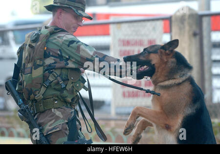 040226-N-4142 G-042 Puerto Princesa, Palawan, Republik der Philippinen (RP) 26. Februar 2004 - US Marine Corps Sgt John Bell und sein Hund Partner "Bojar," das 4. Schutz K9 Einheit zugeordnet, Partie ein wenig misshandelnd während der Runde an einem medizinischen Bürgerinitiativen Programm (MEDCAP) Standort während der Teilnahme an der Übung Balikatan 2004 macht. MEDCAPs sind von der Ärzte, Zahnärzte, Krankenschwestern und Tierärzte aus der RP und die US-Streitkräfte besetzt und sorgen für die notwendige ärztliche und zahnärztliche Leistungen für die Bewohner der acht Baranggays; Mandaragat, San Miguel, Modell, Milagrosa, Stockfoto