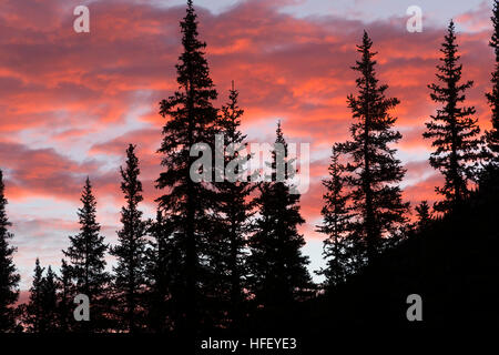 Sunrise Stockfoto