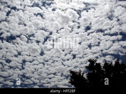 Geschwollene Popcorn wie Wolken am blauen Himmel füllen Stockfoto