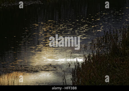 Loch Lomond Wellen und Reflexionen am Abend Wasser Stockfoto