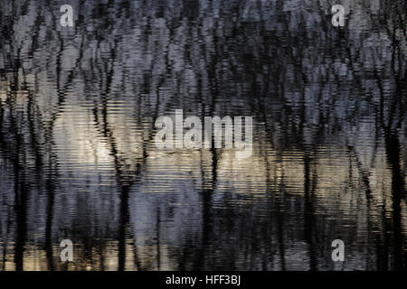 Loch Lomond Wellen und Reflexionen am Abend Wasser Stockfoto