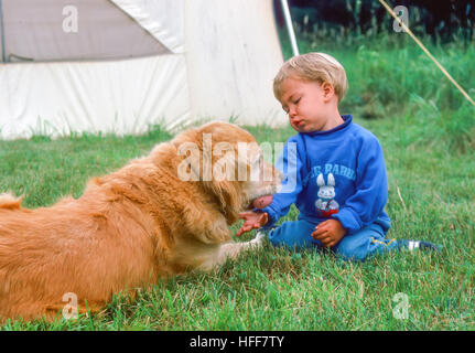Ein schmollendes drei - jähriger Junge versucht seine Spielzeug-Ball Weg von seinem Haustier Golden Retriever Hund zu bekommen. Stockfoto