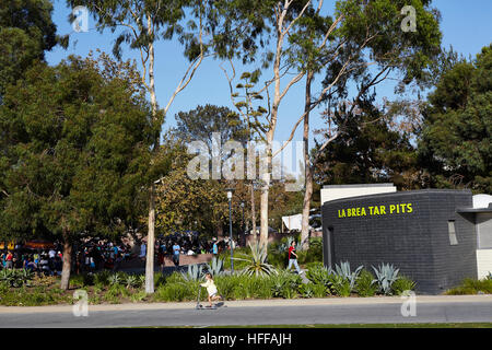 La Brea Tar Pits Los Angeles Stockfoto