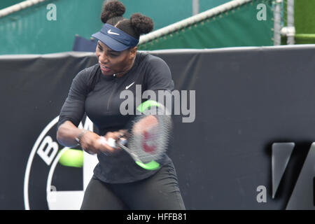 Auckland, Neuseeland. 30. Dezember 2016. Tennis-star super Serena Williams während einer Trainingseinheit im ASB Tennis Centre, Auckland, Neuseeland. Sie soll bei der ASB Classic spielen Tennisturnier am Montag 2 Jan. beginnt © Shirley Kwok/Pacific Press/Alamy Live News Stockfoto