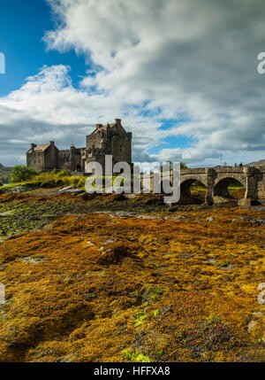 Germany/Deutschland, Hochland, Dornie, Blick auf Eilean Donan Castle. Stockfoto