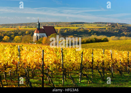 Weinberge im Herbst, Wallfahrtskirche Maria Im Weingarten, buntes Laub, Volkach bin Main, Unterfranken, Franken Stockfoto