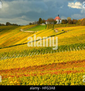 Weinberge im Herbst, Wallfahrt, Kirche Maria Im Weingarten, dunkle Wolken, buntes Laub, Volkach am Main, Unterfranken Stockfoto