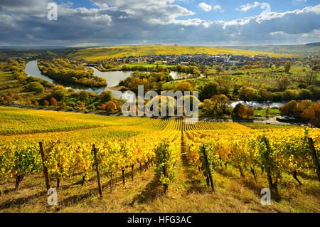 Weinberge im Herbst, Blick auf Fluss Main, Weinbau Stadt Nordheim und Kreuzberg, dunkle Wolken, Unterfranken, Franken Stockfoto