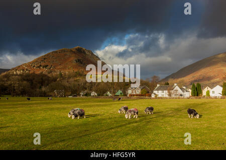 Ruder Crag im Sonnenschein, in der Nähe von Grasmere, Lake District, Cumbria Stockfoto