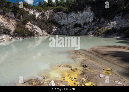 Wai-O-Tapu, Federn Geothermie. Rotorua, Nordinsel, Neuseeland. Stockfoto