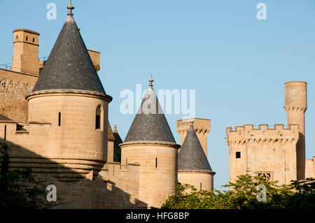 Burg von Olite - Spanien Stockfoto