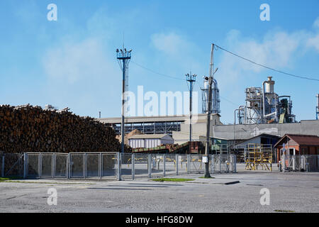 Holzfabrik mit rauchenden Schornsteinen. Stockfoto