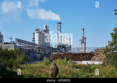 Holzfabrik mit rauchenden Schornsteinen. Stockfoto