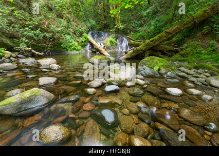 Wasserfall entlang Holland Creek Trail in Ladysmith BC Stockfoto
