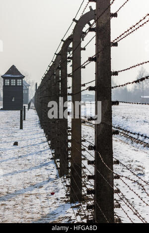 Auschwitz II-Birkenau, genau wie ich mit elektrifizierten Stacheldrahtzäunen umgeben war Auschwitz. Stockfoto