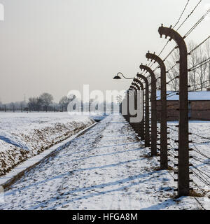 Auschwitz II-Birkenau, genau wie ich mit elektrifizierten Stacheldrahtzäunen umgeben war Auschwitz. Stockfoto