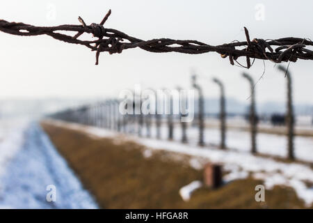 Suchen in Auschwitz 2 in Polen. Stockfoto