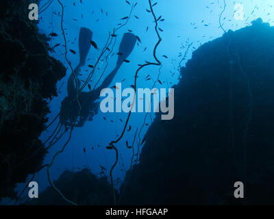 Eine Silhouette eines Tauchers in Koh Toa. Stockfoto