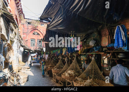 Kolkata (Calcutta, Kalkutta): Chicken Shop auf dem Markt Hogg, West-Bengalen, Westbengalen, Indien Stockfoto