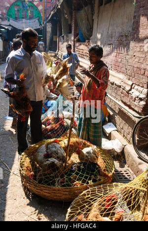 Kolkata (Calcutta, Kalkutta): Chicken Shop auf dem Markt Hogg, West-Bengalen, Westbengalen, Indien Stockfoto