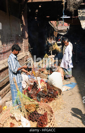 Kolkata (Calcutta, Kalkutta): Chicken Shop auf dem Markt Hogg, West-Bengalen, Westbengalen, Indien Stockfoto