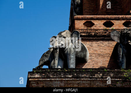 Wat Chedi Luang in Chiangmai Stockfoto