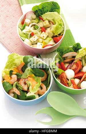 Verschiedene Salate in Schüsseln: Romaine Kopfsalat, Gurke, Paprika, Champignons und Mozzarella, Garnelen, Radieschen, Feldsalat Stockfoto