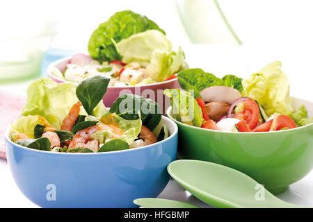 Verschiedene Salate in Schüsseln: Romaine Kopfsalat, Gurke, Paprika, Champignons und Mozzarella, Garnelen, Radieschen, Feldsalat Stockfoto