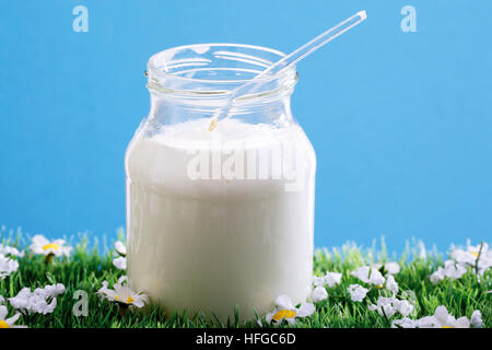 Glas Joghurt auf einer Blumenwiese Stockfoto