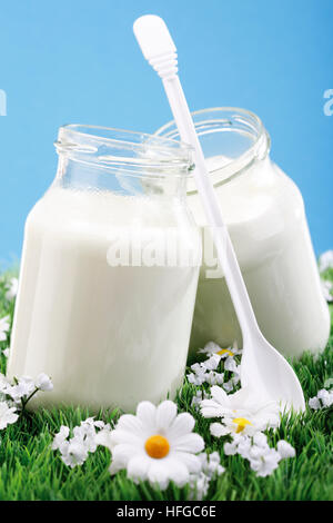 Brille von Joghurt auf einer Blumenwiese Stockfoto
