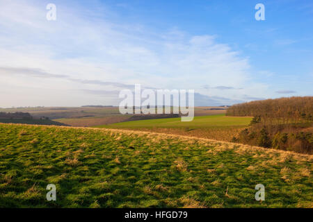 Eine grasbewachsenen Hang-Wiese in der Nähe von einem Tal mit Wald in Yorkshire Wolds Landschaft bei blau bewölktem Himmel im Winter. Stockfoto